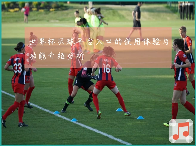 世界杯买球平台入口的使用体验与功能介绍分析