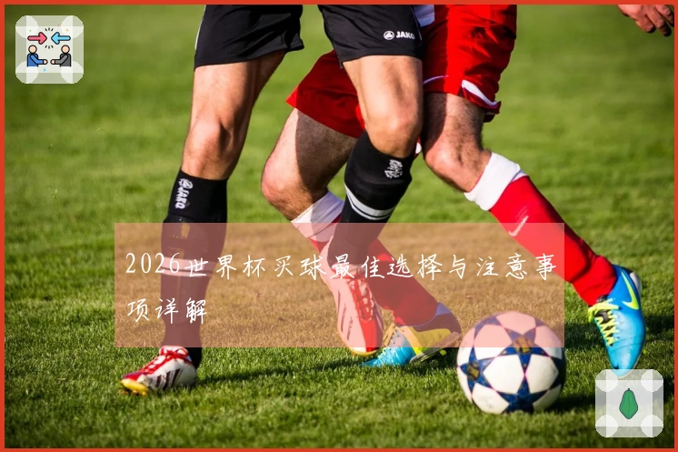2026世界杯买球最佳选择与注意事项详解