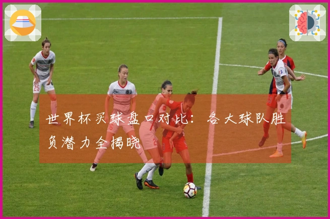 世界杯买球盘口对比：各大球队胜负潜力全揭晓