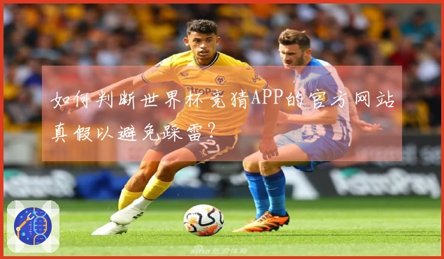 如何判断世界杯竞猜APP的官方网站真假以避免踩雷？