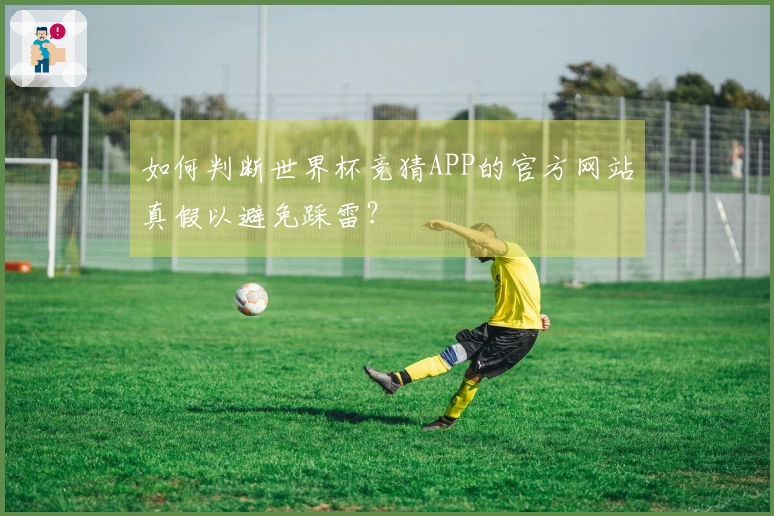如何判断世界杯竞猜APP的官方网站真假以避免踩雷?