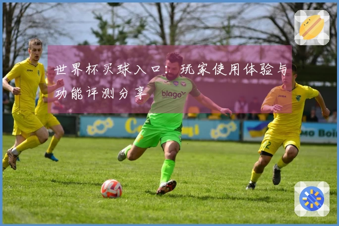 世界杯买球入口：玩家使用体验与功能评测分享