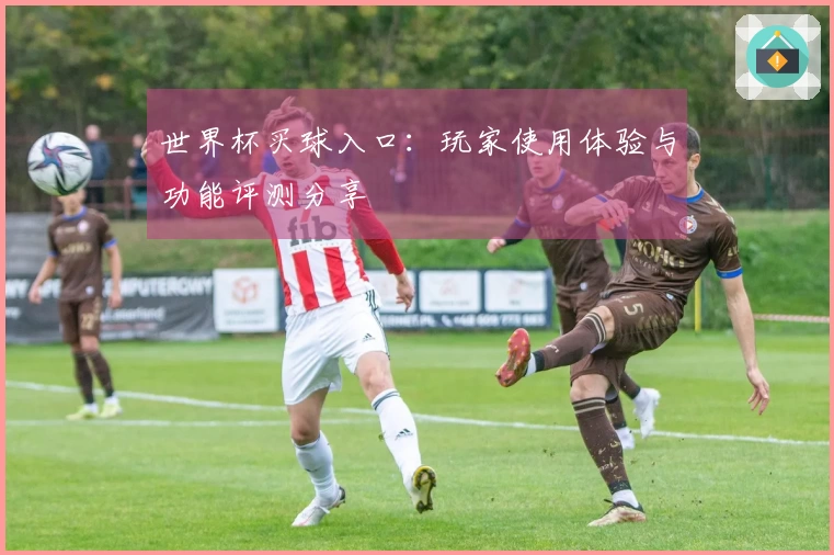 世界杯买球入口：玩家使用体验与功能评测分享