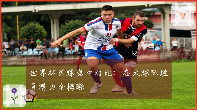 世界杯买球盘口对比：各大球队胜负潜力全揭晓