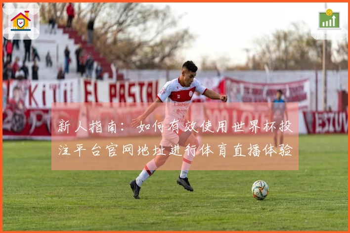 新人指南：如何有效使用世界杯投注平台官网地址进行体育直播体验