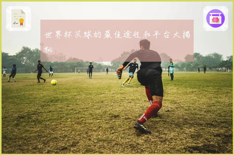 世界杯买球的最佳途径和平台大揭秘